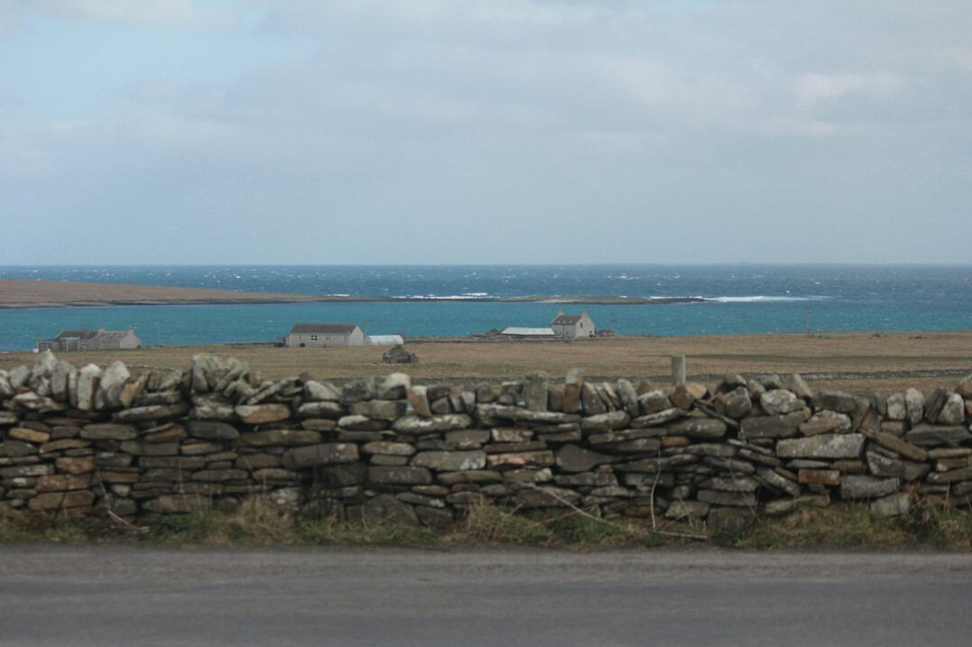 Rural Danish island farmland with windmills in the distance