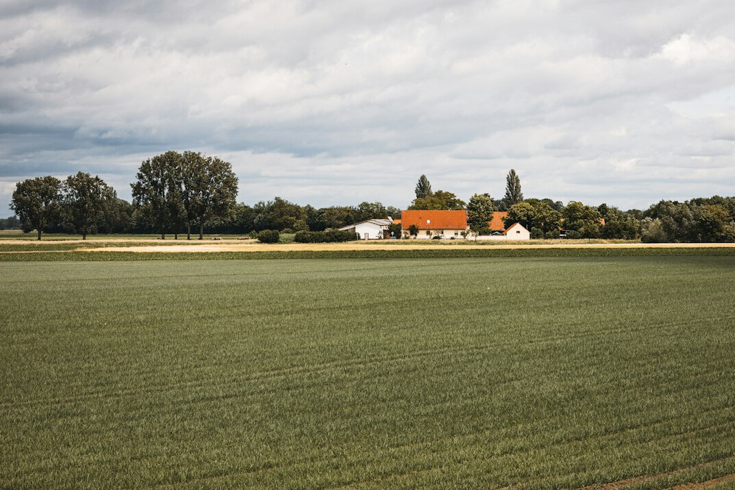 Rural Danish farmhouse with a thatched roof surrounded by fields